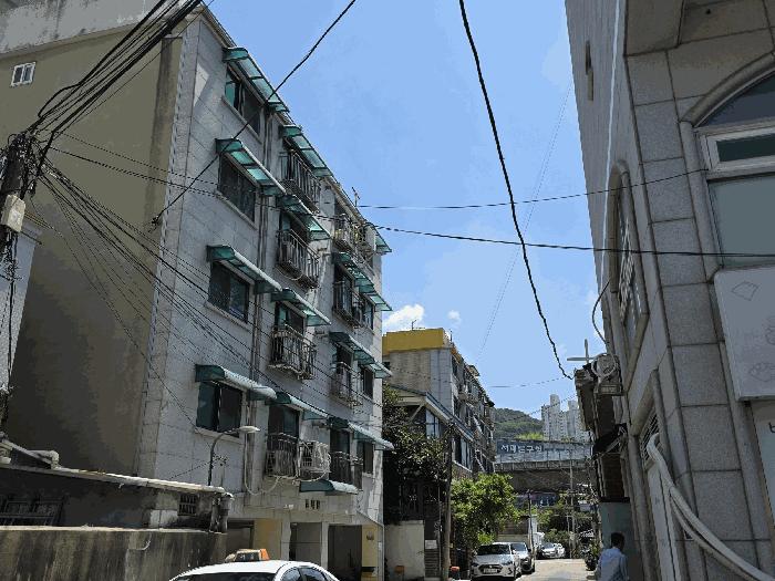 사진 06