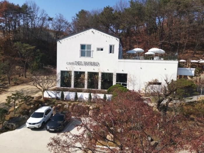 사진 08