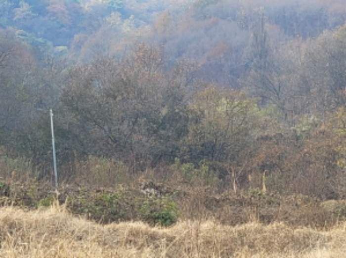 사진 04