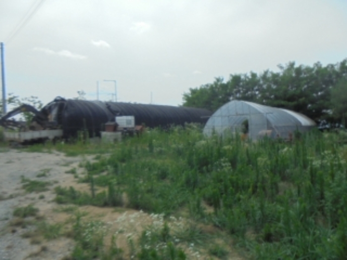 사진 02