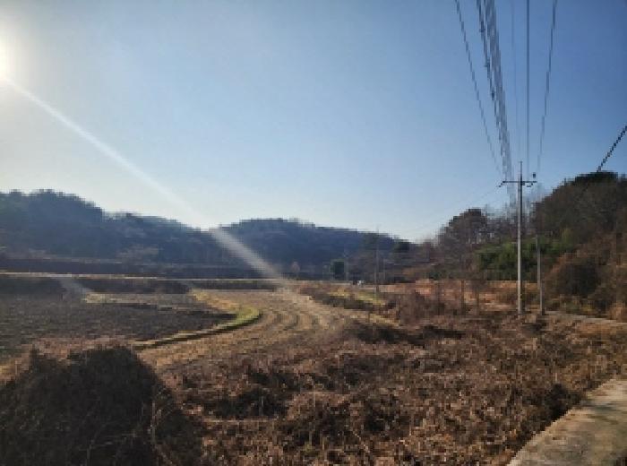 사진 05