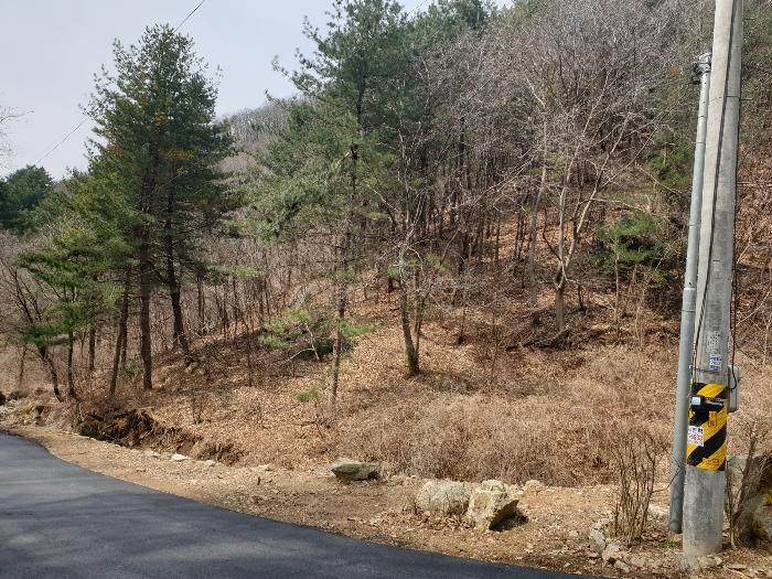 사진 03