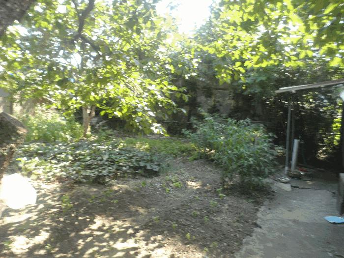 사진 07