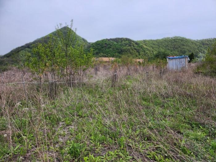 사진 07
