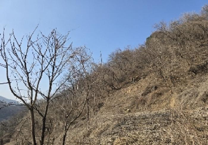 사진 01