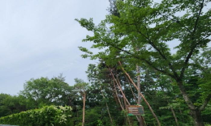 사진 02