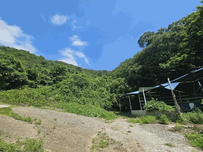 사진 05
