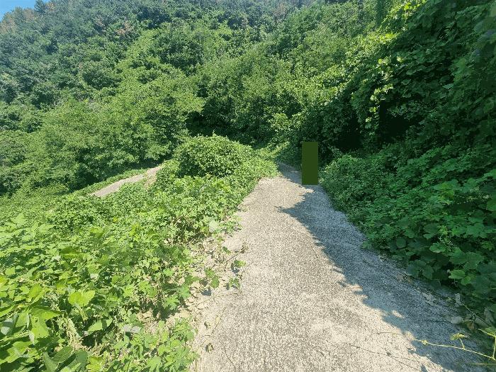 사진 06
