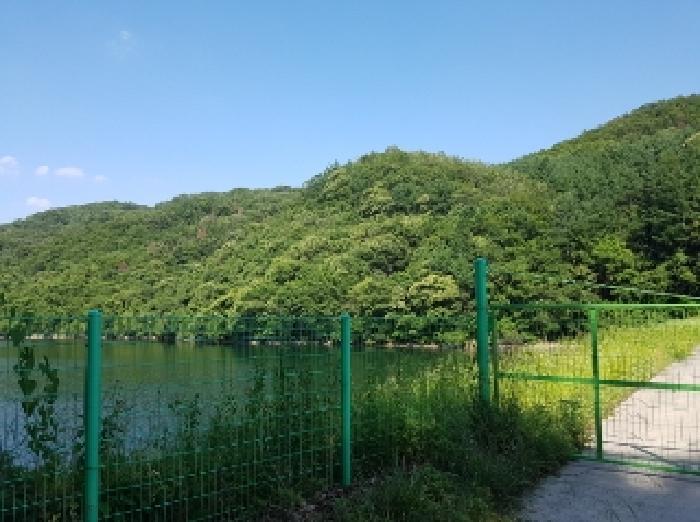 사진 07