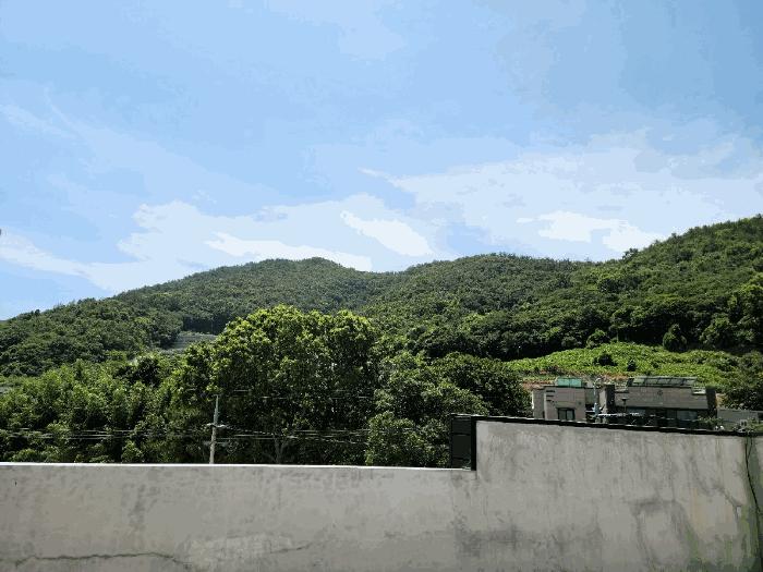 사진 05