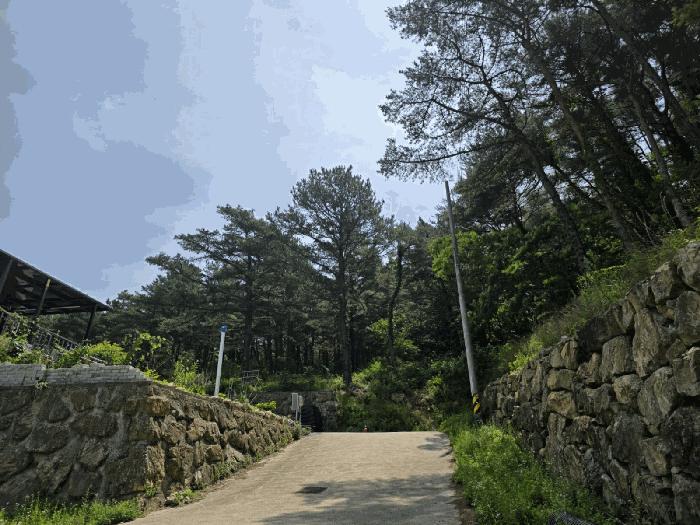 사진 06