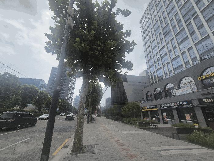 사진 03