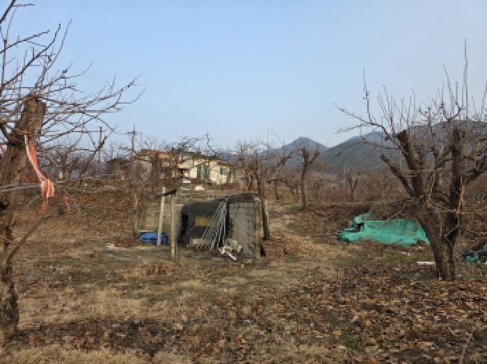사진 08