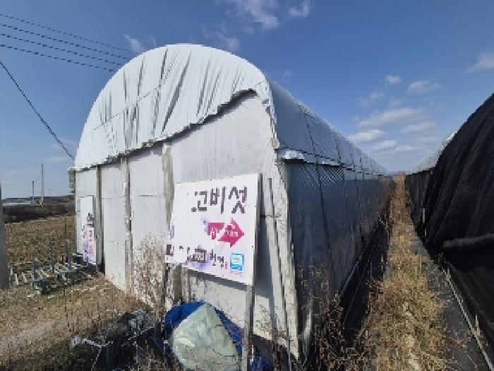 사진 06
