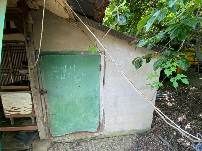 사진 06