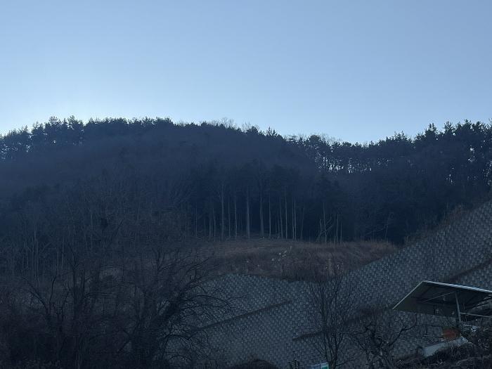 사진 01