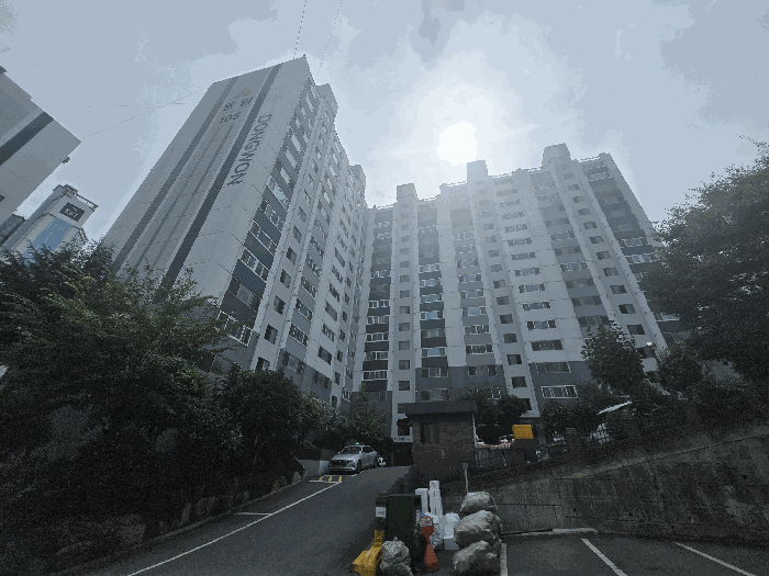 사진 05
