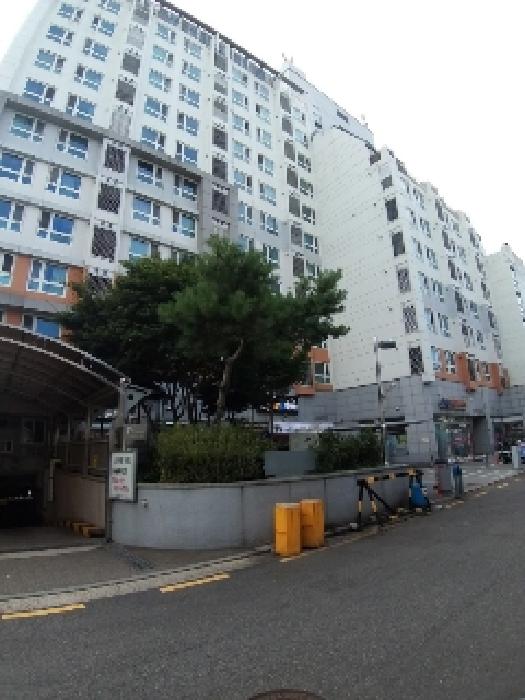 사진 01