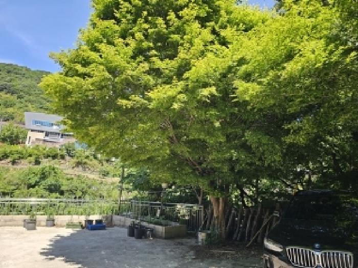 사진 08