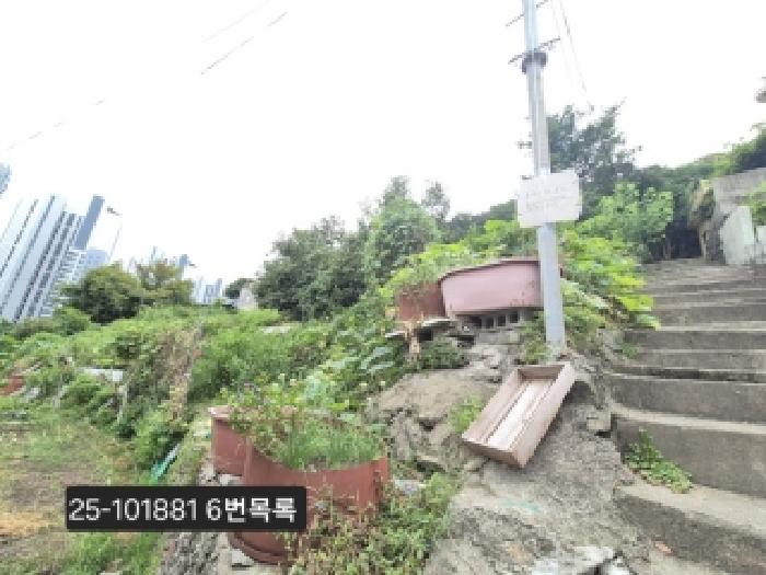 사진 01