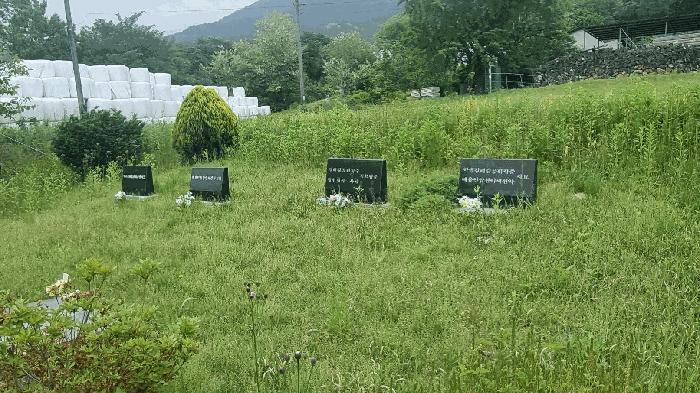 사진 03