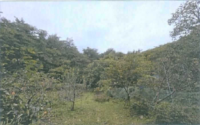 사진 04