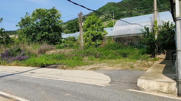 사진 08