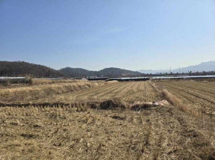 사진 03