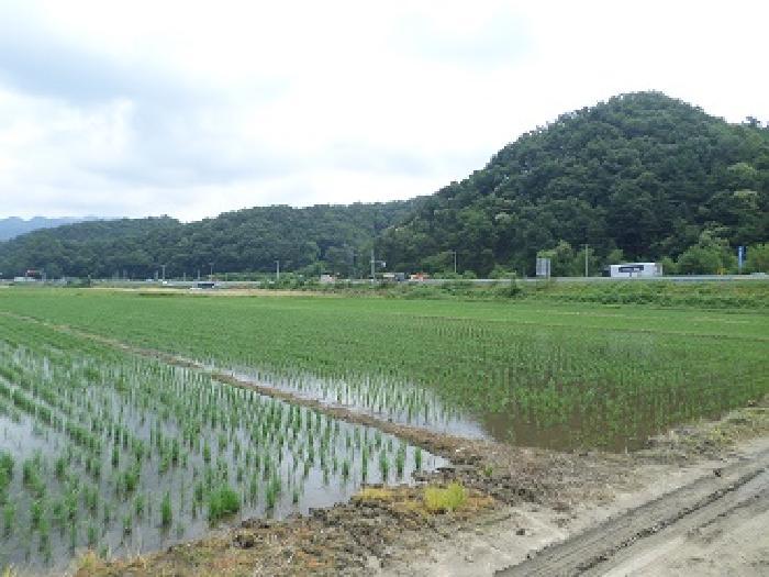 사진 05