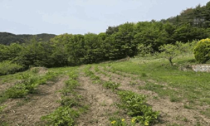 사진 07