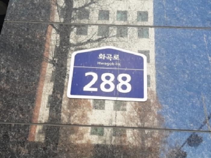 사진 01