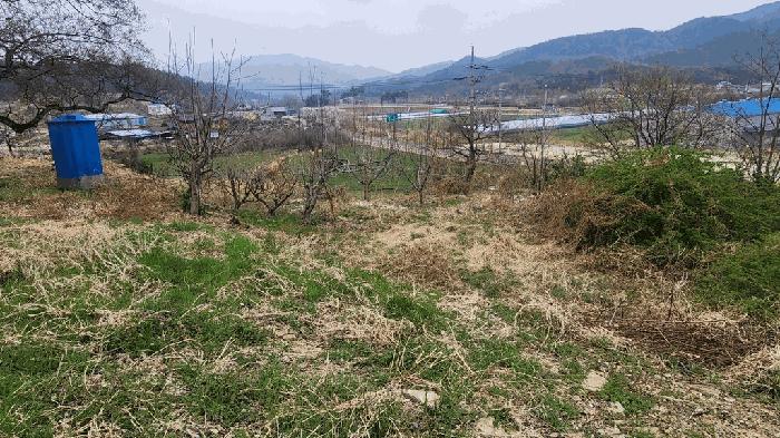 사진 05