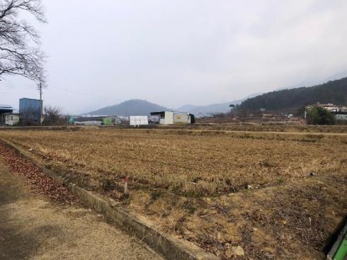 사진 02