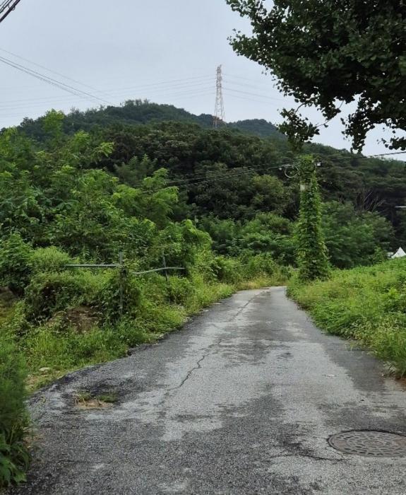 사진 03