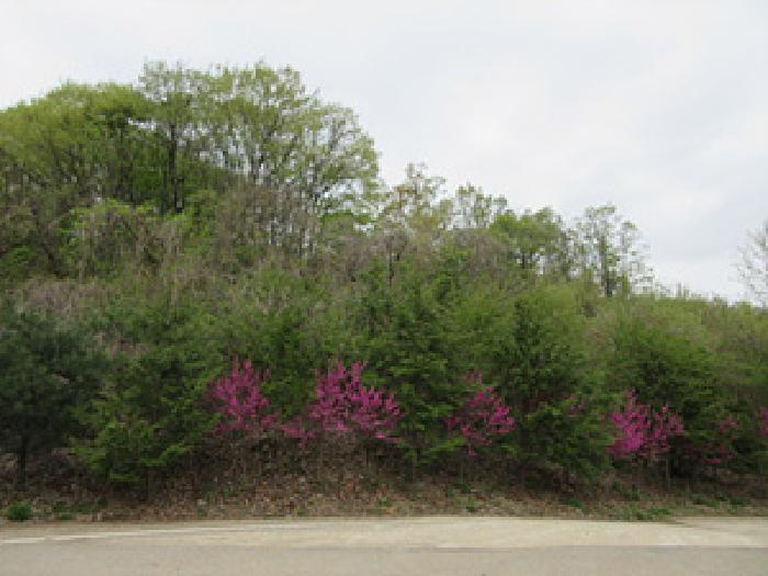 사진 06