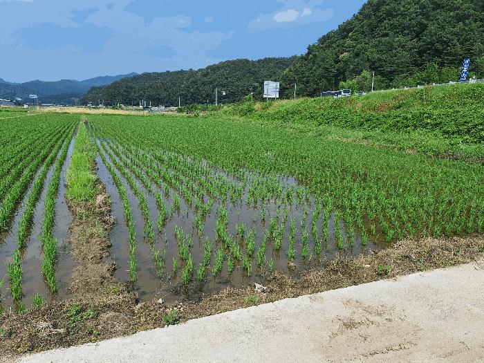 사진 03