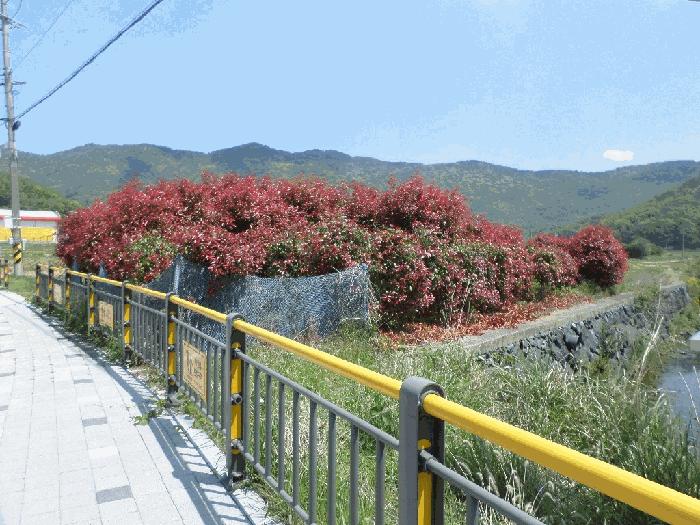사진 03