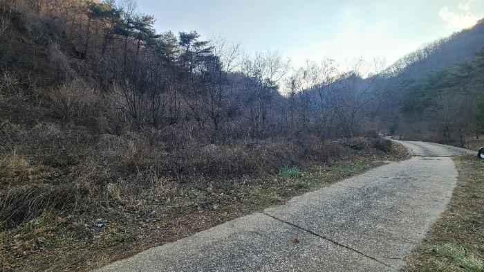 사진 07