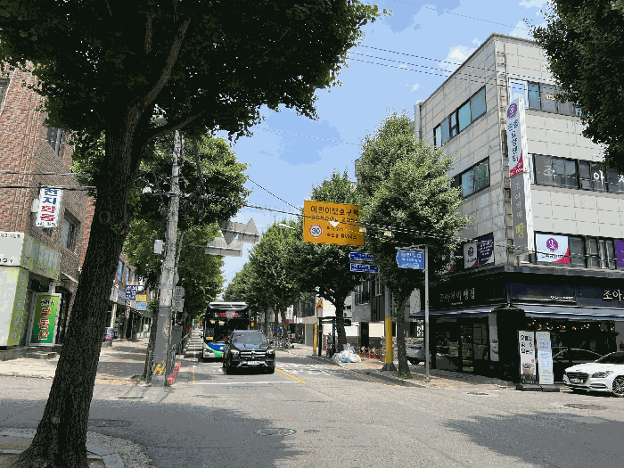 사진 08