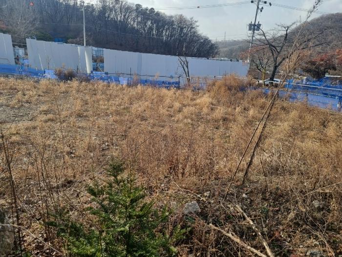 사진 06