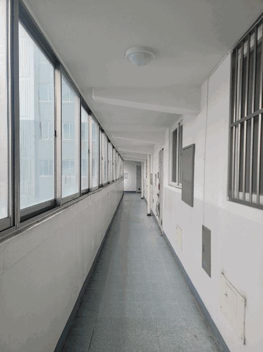 사진 06