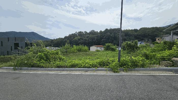 사진 05