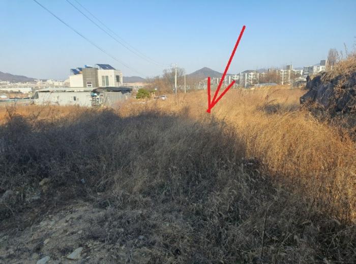 사진 03