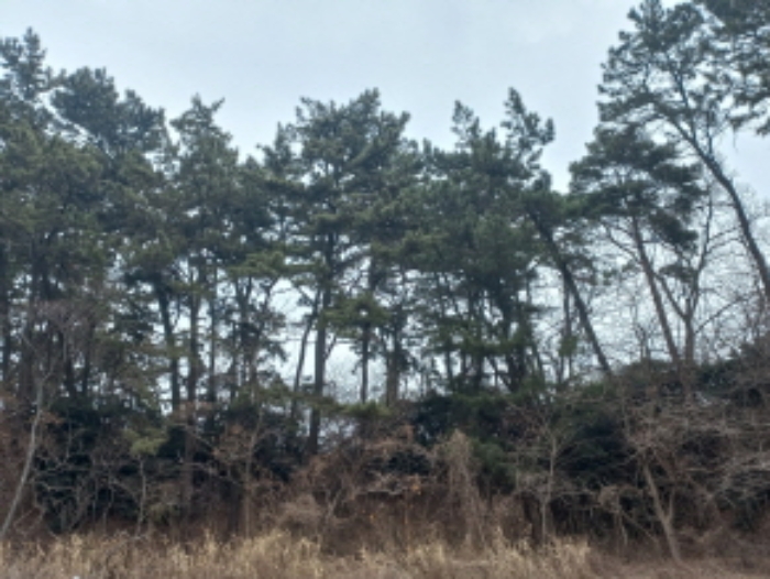 사진 02