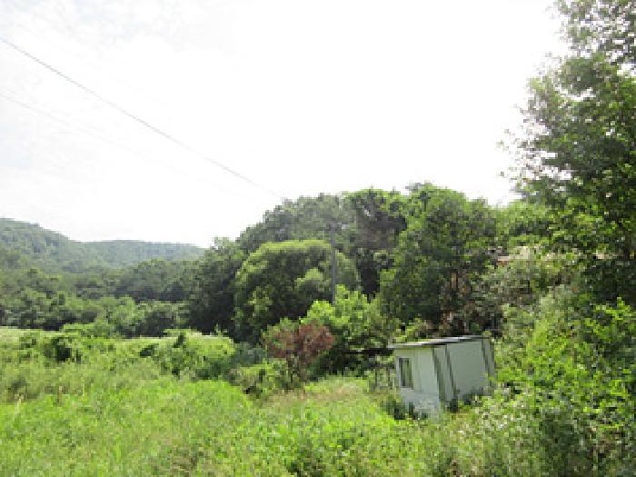 사진 05
