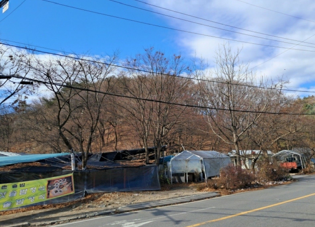 사진 02