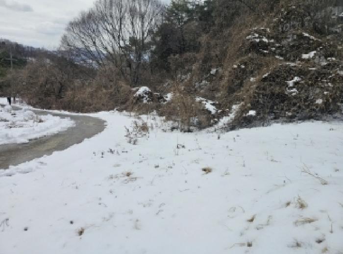 사진 06