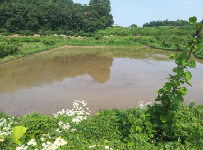 사진 05