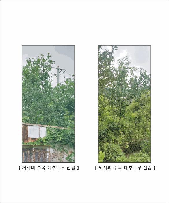 사진 07
