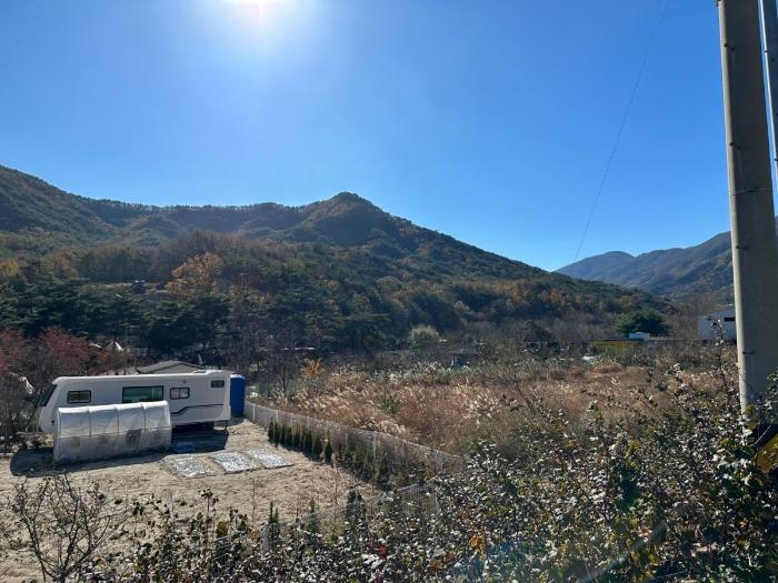 사진 03